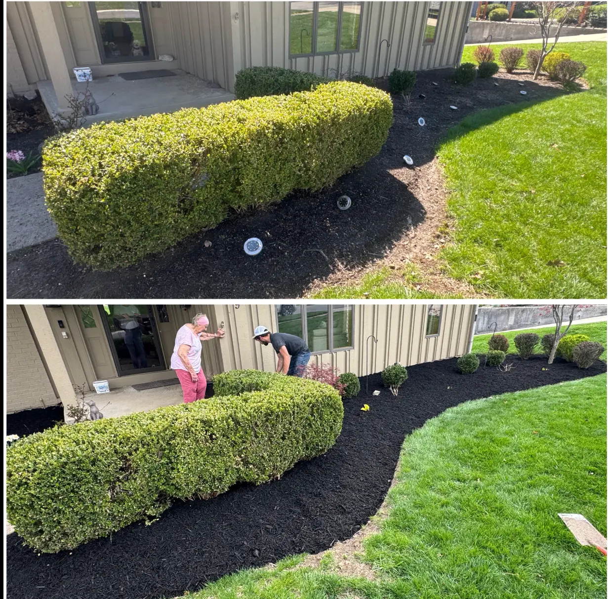 Landscape design before and after mulch